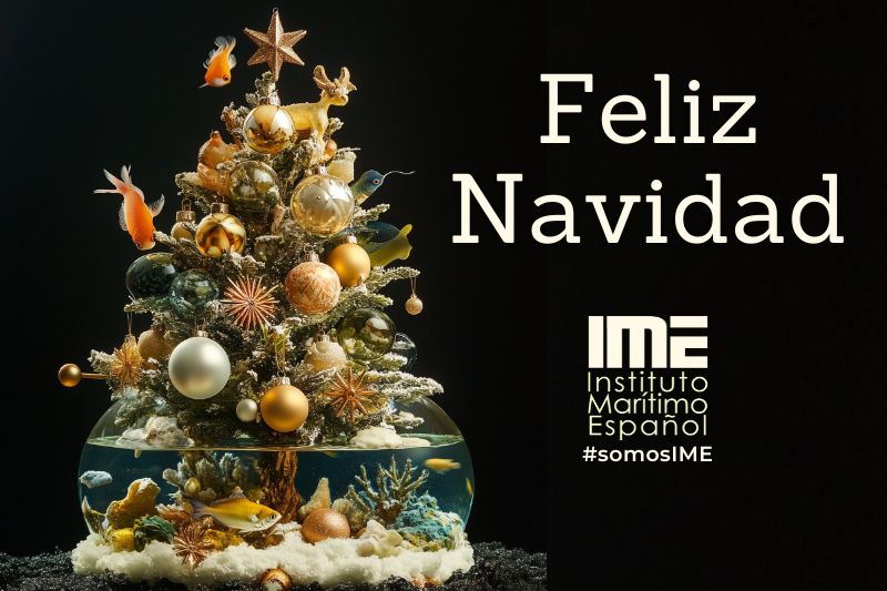 🎄 Feliz Navidad 🎄